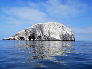 Bass Rock