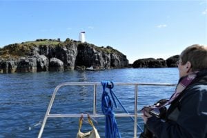Isle of May viewed from BlueWild boat