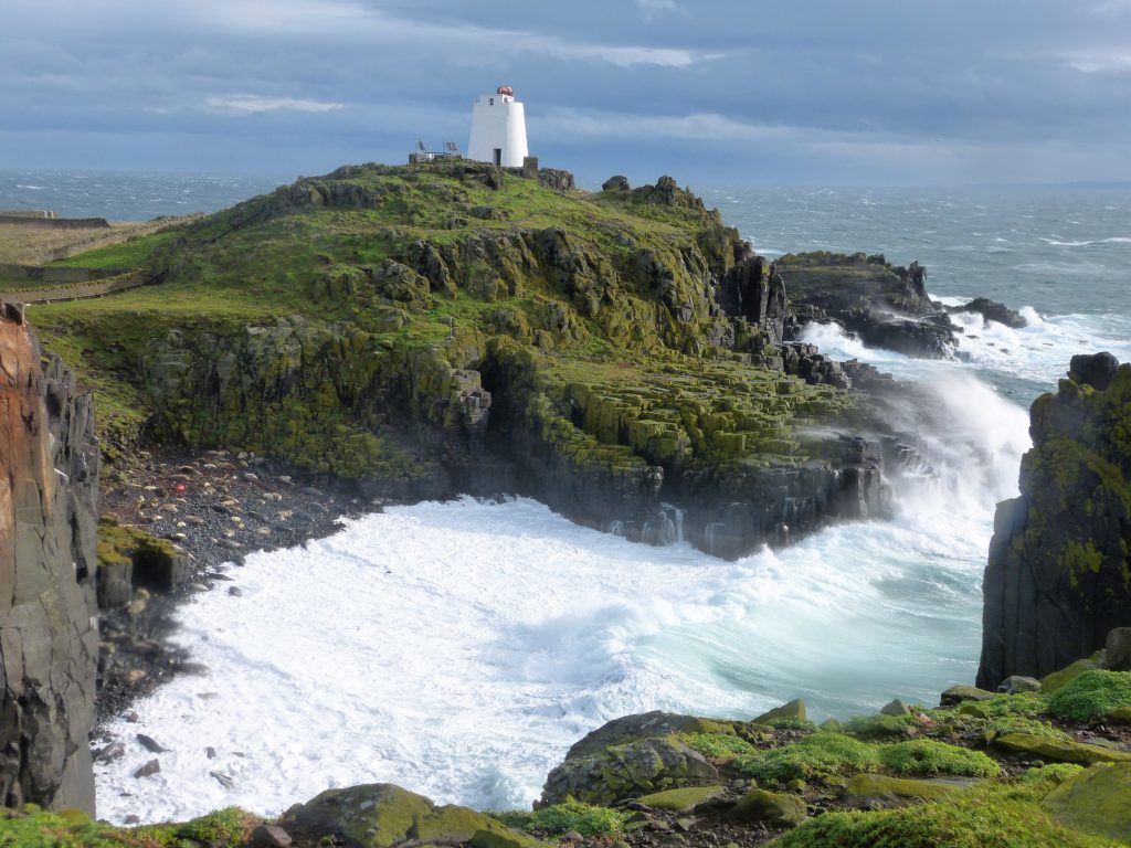 Isle of May with seals on beach