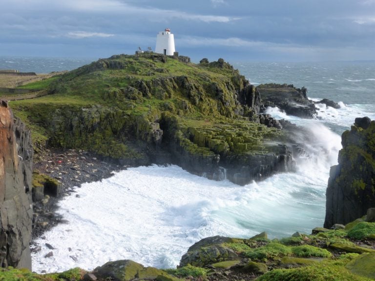 Isle of May with seals on beach