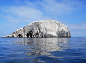 bass rock