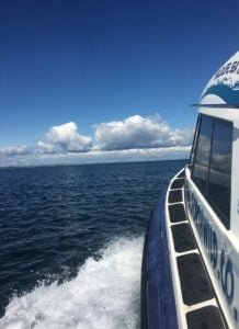 BlueWild boat at sea