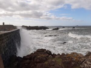 Dunbar Harbour Wall 20200926