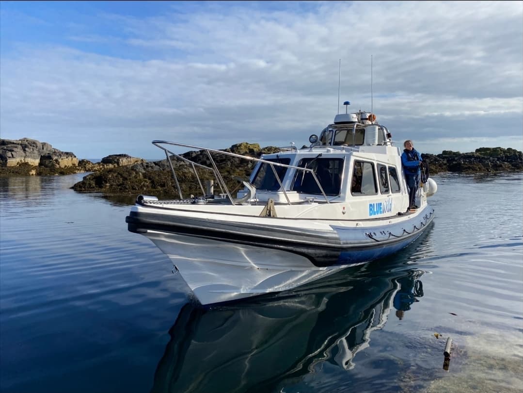 Blue Wild Landing Boat