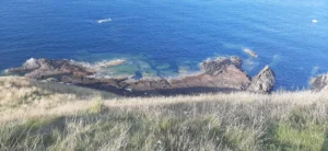 SICCAR POINT 20220827