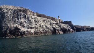 Bass Rock cliffs and lighthouse from the water