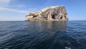 The Bass Rock seen across calm sea
