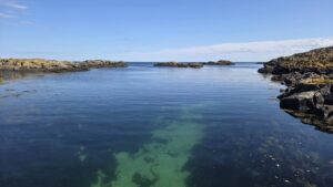 Clear, calm water in a sheltered cove on the Isle of May