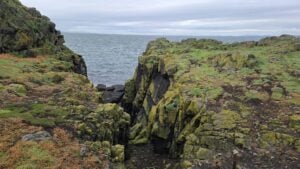Lichen-covered cliff gully looking out to sea, Isle of May