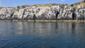 White-streaked seabird cliffs above calm water
