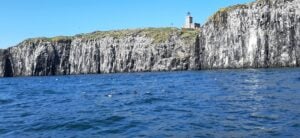 Isle of May cliffs and lighthouse seen from the boat