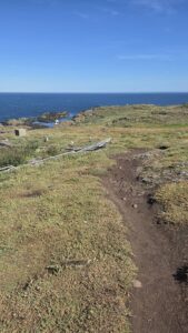 Island path down to the shore on the Isle of May