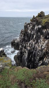 Layered sea cliff overhang above the waves, Isle of May